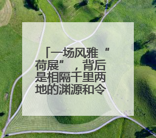 一场风雅“荷展”，背后是相隔千里两地的渊源和令人感动的历史人文情怀
