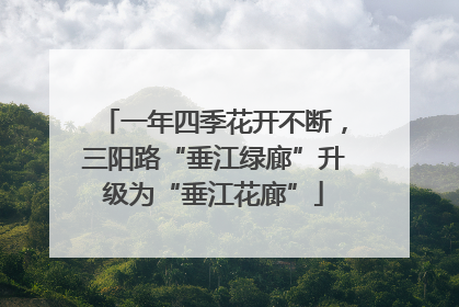 一年四季花开不断，三阳路“垂江绿廊”升级为“垂江花廊”