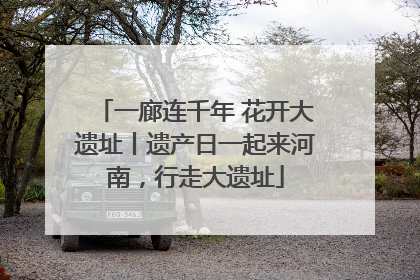 一廊连千年 花开大遗址丨遗产日一起来河南，行走大遗址