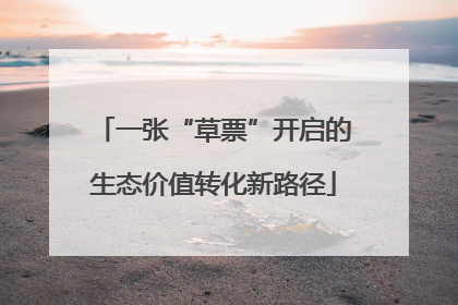 一张“草票”开启的生态价值转化新路径