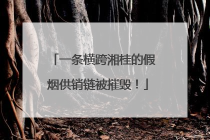 一条横跨湘桂的假烟供销链被摧毁！