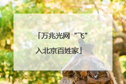 万兆光网“飞”入北京百姓家
