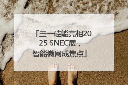 三一硅能亮相2025 SNEC展，智能微网成焦点