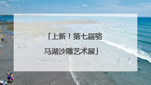 上新！第七届骆马湖沙雕艺术展