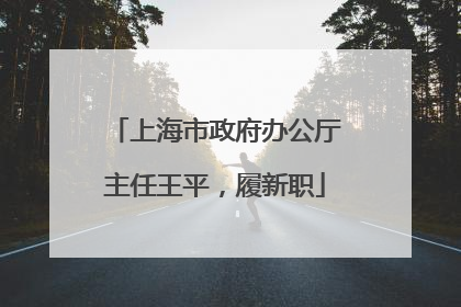 上海市政府办公厅主任王平，履新职