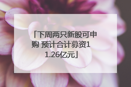 下周两只新股可申购 预计合计募资11.26亿元