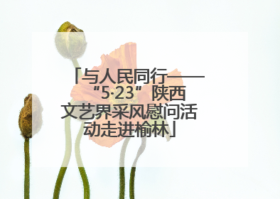 与人民同行——“5·23”陕西文艺界采风慰问活动走进榆林