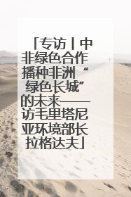 专访丨中非绿色合作播种非洲“绿色长城”的未来——访毛里塔尼亚环境部长拉格达夫