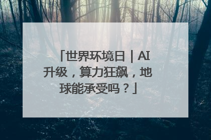 世界环境日｜AI升级，算力狂飙，地球能承受吗？