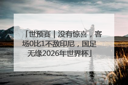 世预赛｜没有惊喜，客场0比1不敌印尼，国足无缘2026年世界杯
