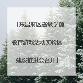 东昌府区省级学前教育游戏活动实验区建设推进会召开