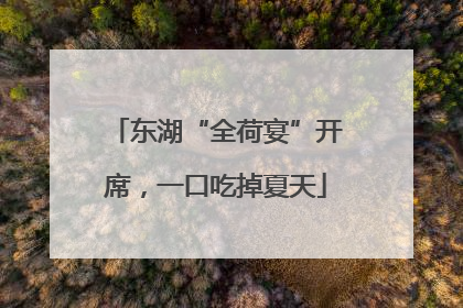 东湖“全荷宴”开席，一口吃掉夏天