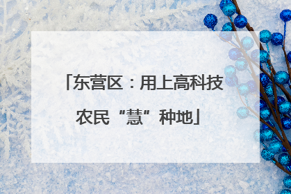 东营区：用上高科技 农民“慧”种地