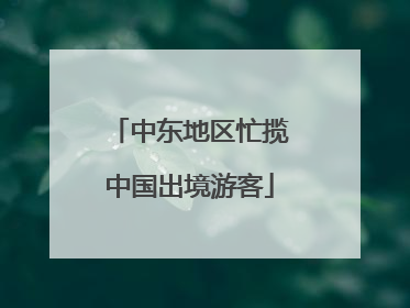 中东地区忙揽中国出境游客
