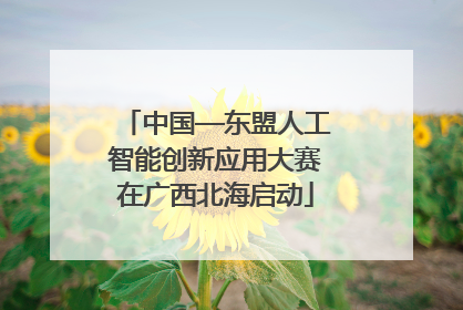 中国—东盟人工智能创新应用大赛在广西北海启动