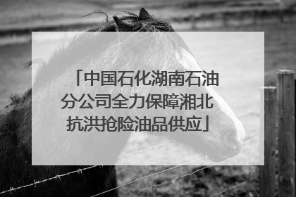 中国石化湖南石油分公司全力保障湘北抗洪抢险油品供应