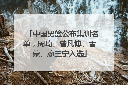 中国男篮公布集训名单，周琦、曾凡博、雷蒙、廖三宁入选
