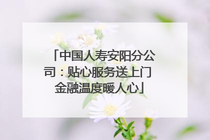 中国人寿安阳分公司：贴心服务送上门 金融温度暖人心
