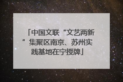中国文联“文艺两新”集聚区南京、苏州实践基地在宁授牌