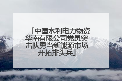 中国水利电力物资华南有限公司党员突击队勇当新能源市场开拓排头兵