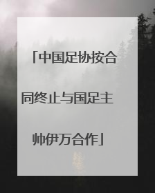 中国足协按合同终止与国足主帅伊万合作
