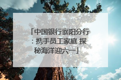 中国银行襄阳分行：携手员工家庭 探秘海洋迎六一