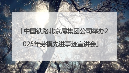 中国铁路北京局集团公司举办2025年劳模先进事迹宣讲会