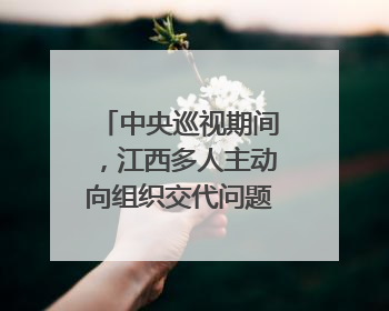 中央巡视期间，江西多人主动向组织交代问题｜打虎拍蝇