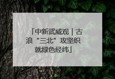 中新武威观｜古浪“三北”攻坚织就绿色经纬