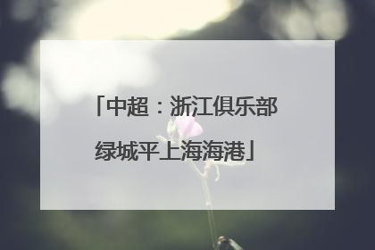 中超：浙江俱乐部绿城平上海海港