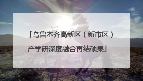 乌鲁木齐高新区（新市区）产学研深度融合再结硕果