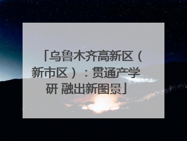 乌鲁木齐高新区（新市区）：贯通产学研 融出新图景