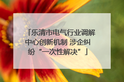 乐清市电气行业调解中心创新机制 涉企纠纷“一次性解决”