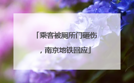 乘客被厕所门砸伤，南京地铁回应