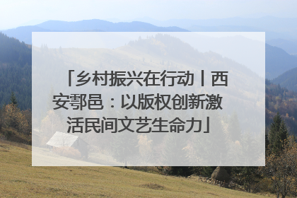 乡村振兴在行动丨西安鄠邑：以版权创新激活民间文艺生命力