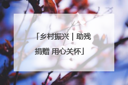 乡村振兴｜助残捐赠 用心关怀