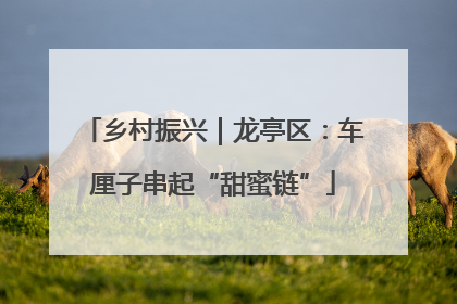 乡村振兴｜龙亭区：车厘子串起“甜蜜链”