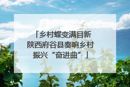 乡村蝶变满目新 陕西府谷县奏响乡村振兴“奋进曲”