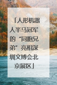 人形机器人半马冠军的“同胞兄弟”亮相深圳文博会北京展区
