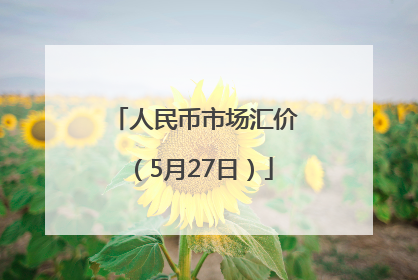 人民币市场汇价（5月27日）