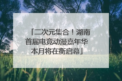 二次元集合！湖南首届电竞动漫嘉年华本月将在衡启幕