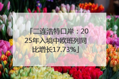 二连浩特口岸：2025年入境中欧班列同比增长17.73%