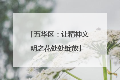 五华区：让精神文明之花处处绽放