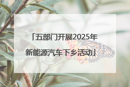 五部门开展2025年新能源汽车下乡活动
