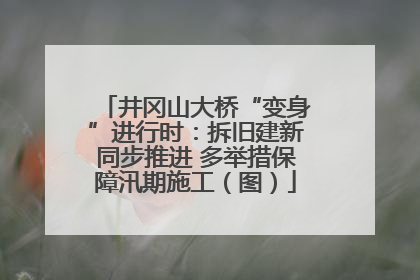 井冈山大桥“变身”进行时：拆旧建新同步推进 多举措保障汛期施工（图）
