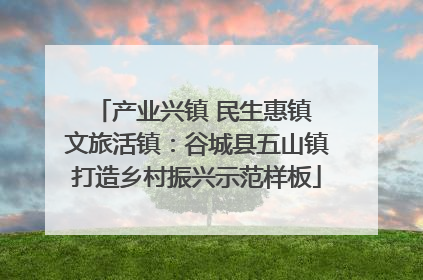 产业兴镇 民生惠镇 文旅活镇：谷城县五山镇打造乡村振兴示范样板