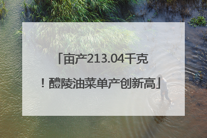 亩产213.04千克！醴陵油菜单产创新高