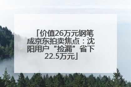 价值26万元钢笔成京东拍卖焦点：沈阳用户“捡漏”省下22.5万元