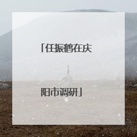 任振鹤在庆阳市调研