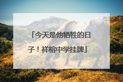 今天是他牺牲的日子！祥榕中学挂牌